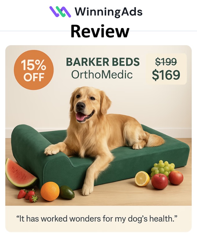 WinningAds Review